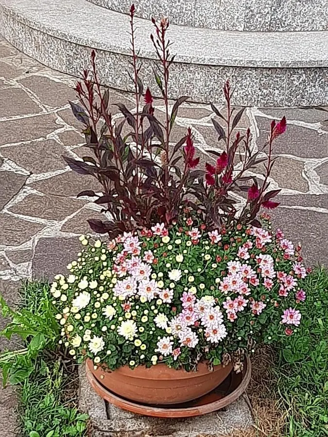 Guest house Casa Vacanze Da Cinzia Zanica Italy